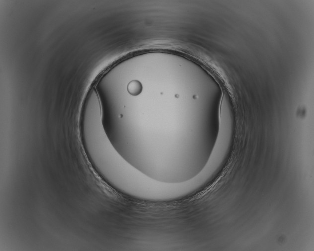 X0000096981328200803071020