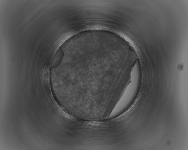 X0000096981329200803071020