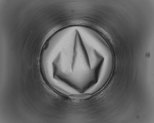 X0000096981330200803071020