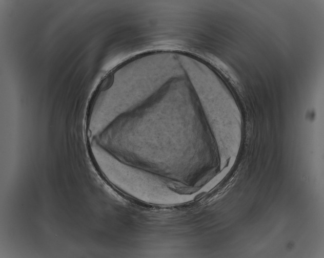 X0000096981334200803071021