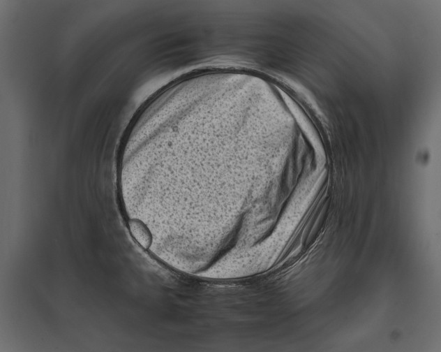 X0000096981335200803071021