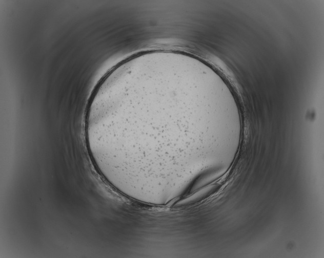 X0000096981336200803071021