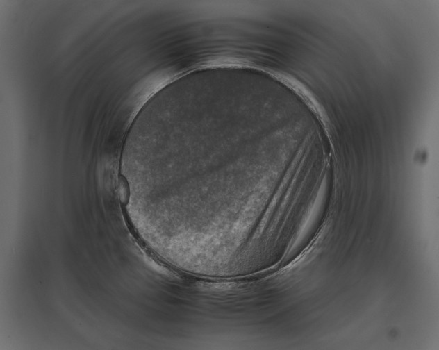 X0000096981337200803071021