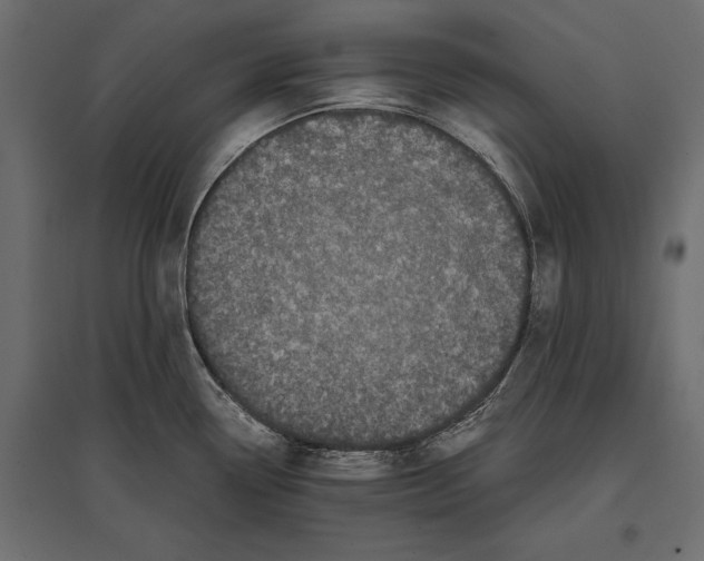 X0000096981338200803071021