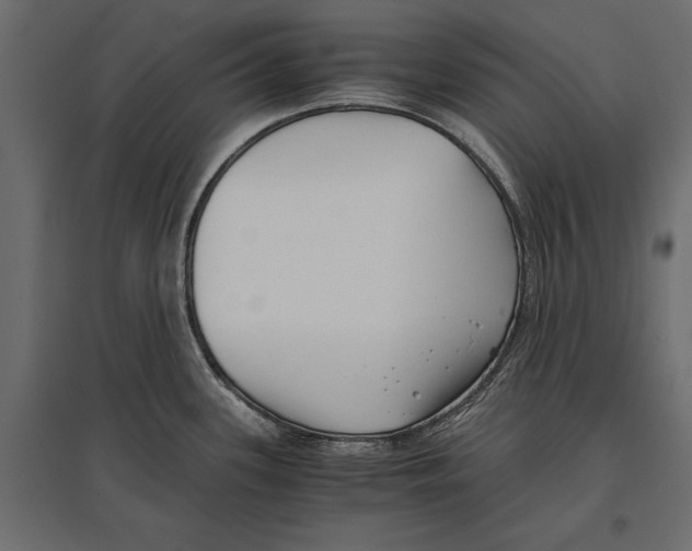 X0000096981339200803071021