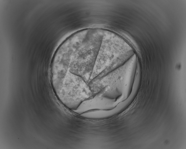 X0000096981340200803071021