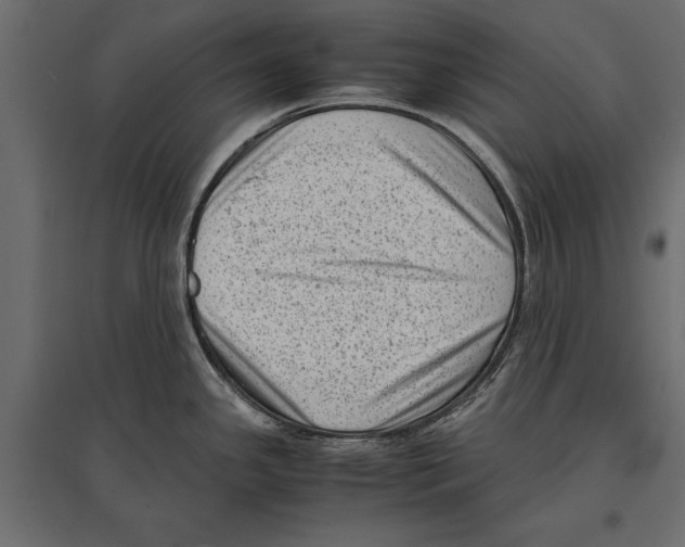 X0000096981341200803071021