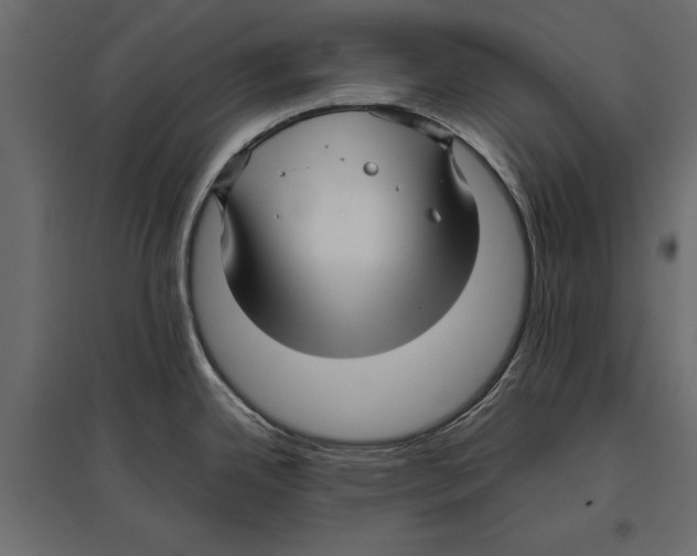 X0000096981342200803071021