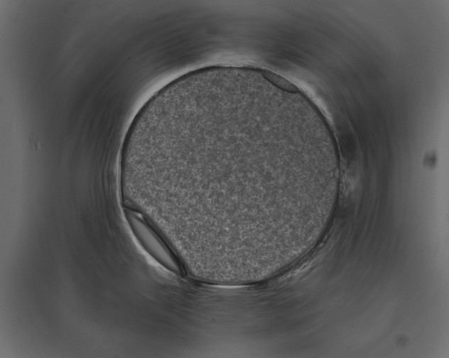 X0000096981343200803071021