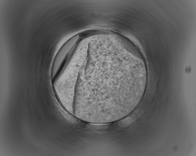 X0000096981344200803071021