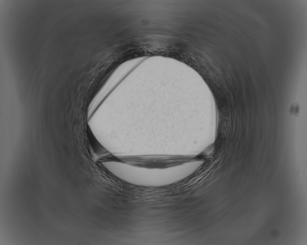 X0000096981345200803071020