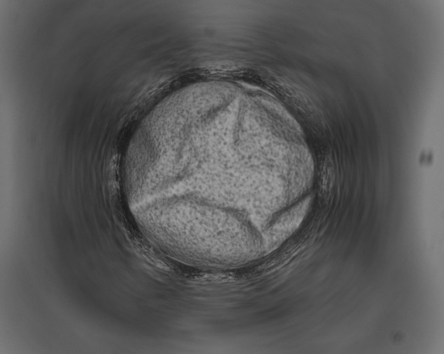 X0000096981346200803071020