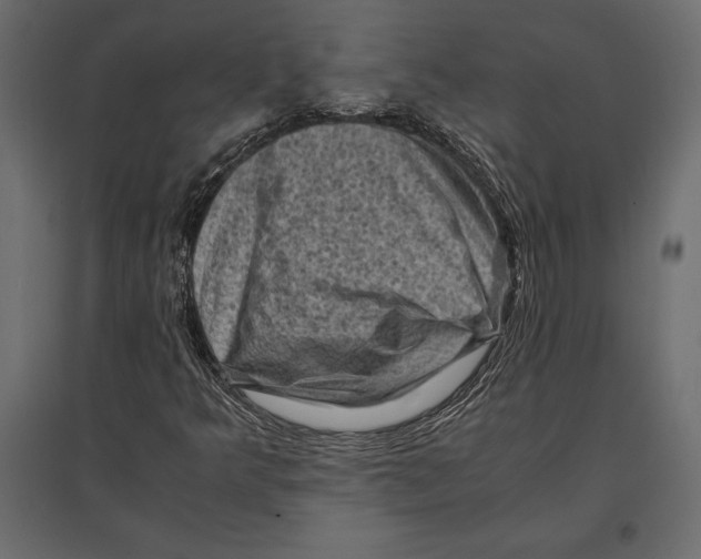 X0000096981349200803071020