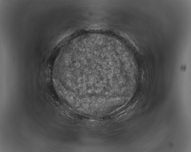 X0000096981350200803071020