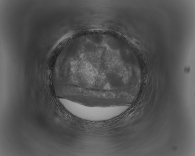 X0000096981351200803071020