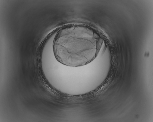 X0000096981352200803071020