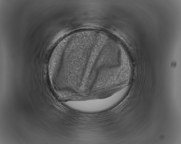 X0000096981355200803071020