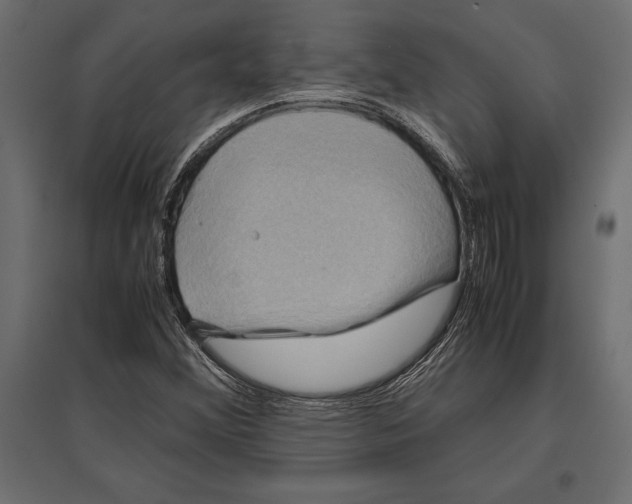 X0000096981356200803071020