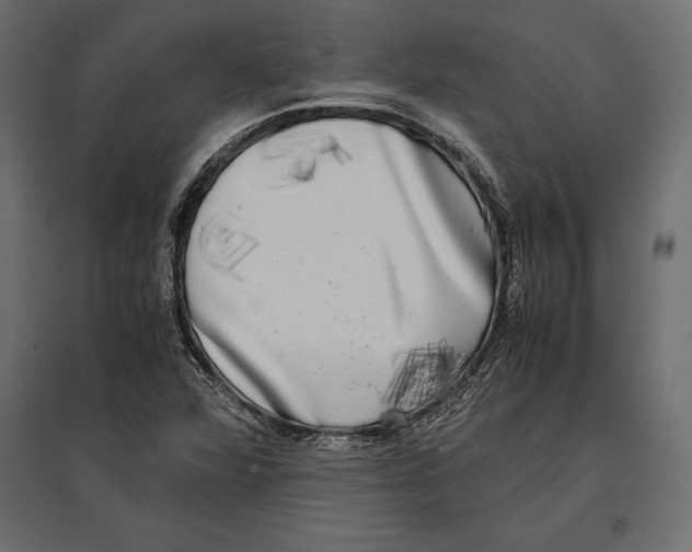 X0000096981360200803071020