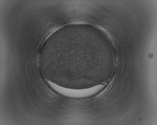 X0000096981361200803071020