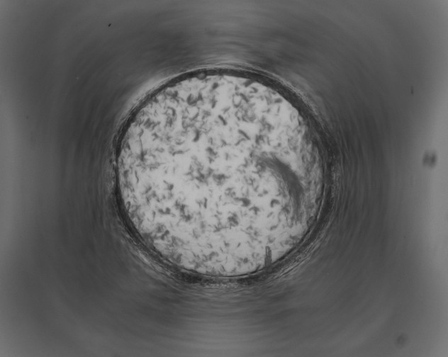 X0000096981363200803071020