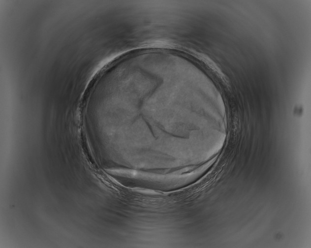 X0000096981364200803071020