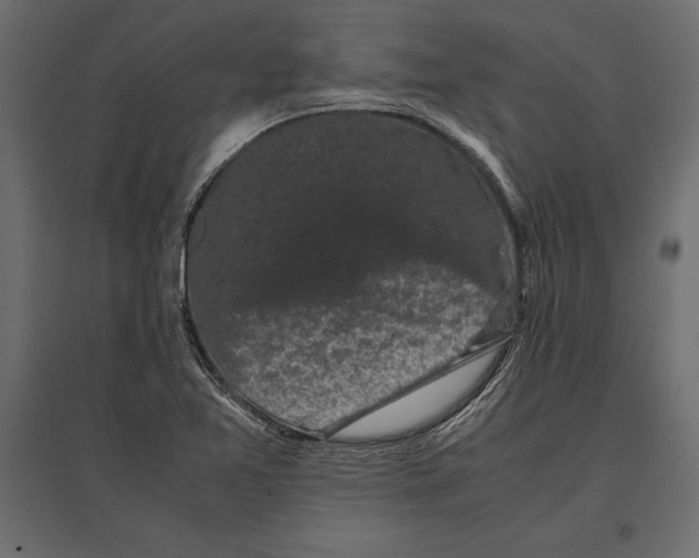 X0000096981365200803071020