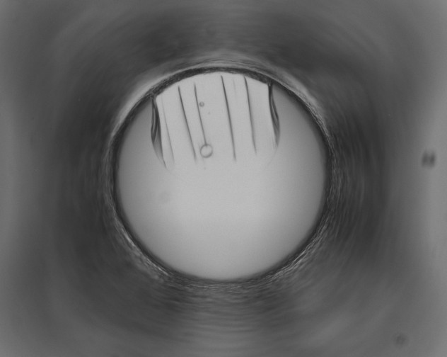 X0000096981368200803071020