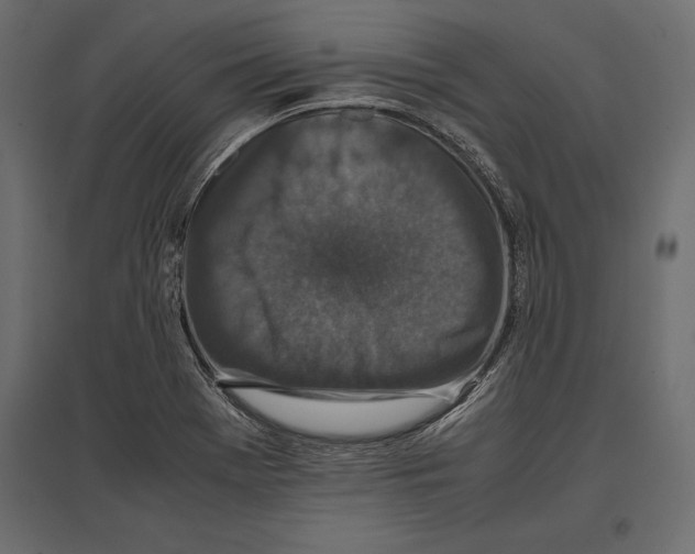 X0000096981369200803071020