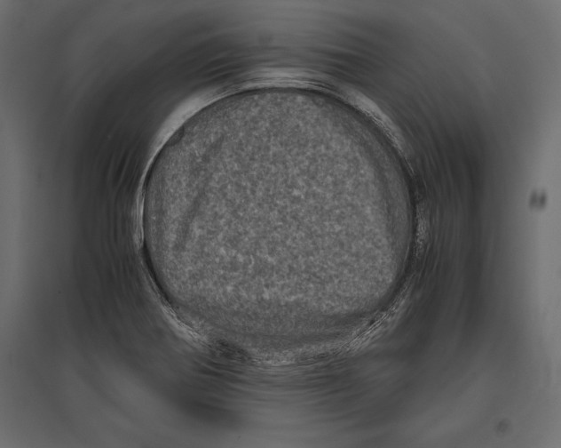 X0000096981370200803071020