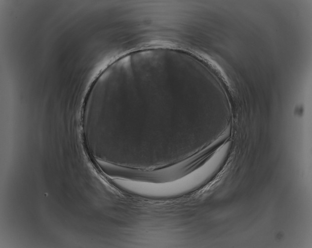 X0000096981373200803071020