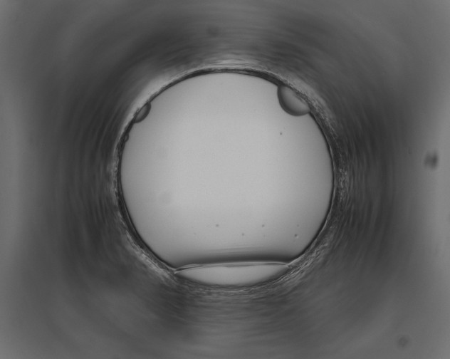 X0000096981374200803071020