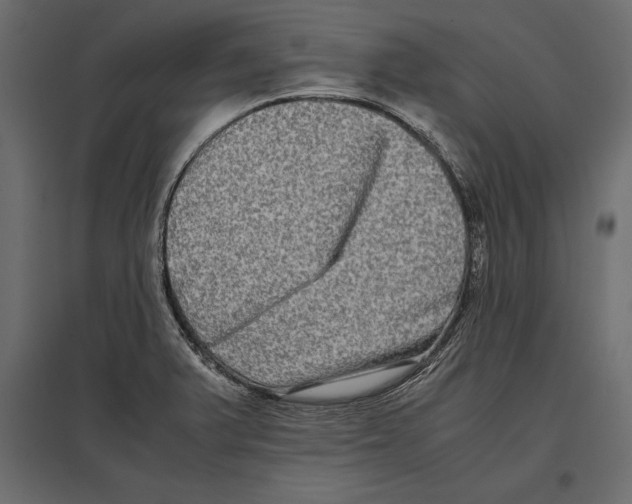 X0000096981375200803071020