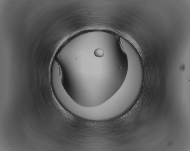 X0000096981380200803071019