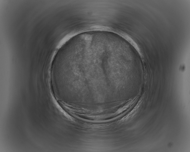 X0000096981381200803071019