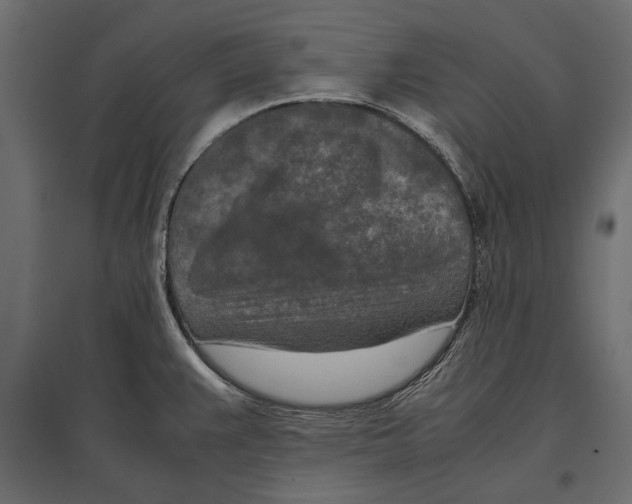 X0000096981383200803071019