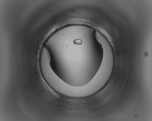 X0000096981384200803071019