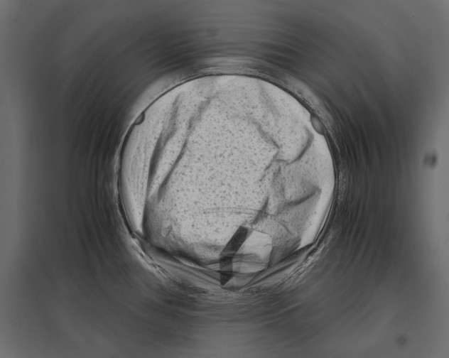 X0000096981386200803071019