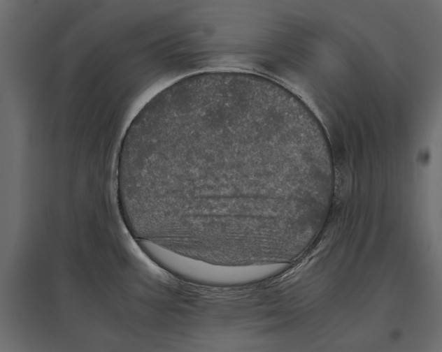 X0000096981387200803071019