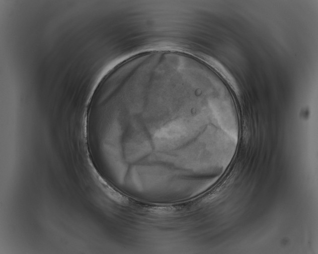 X0000096981388200803071019