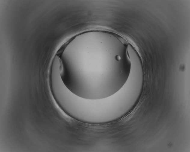 X0000096981391200803071019