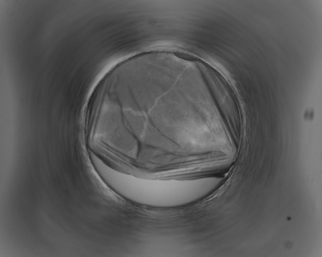 X0000096981392200803071019