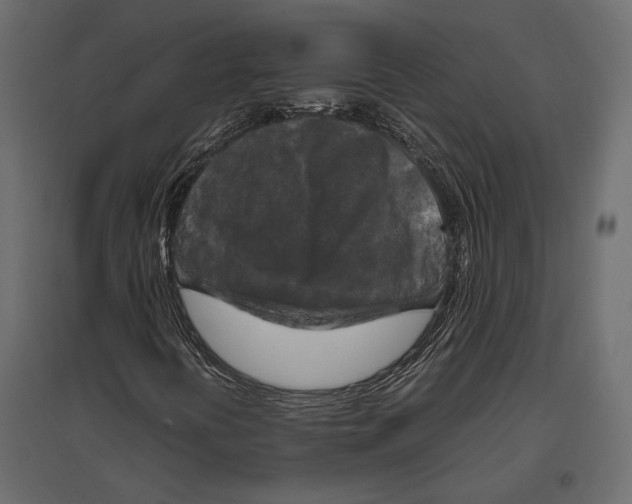 X0000096981394200803071019