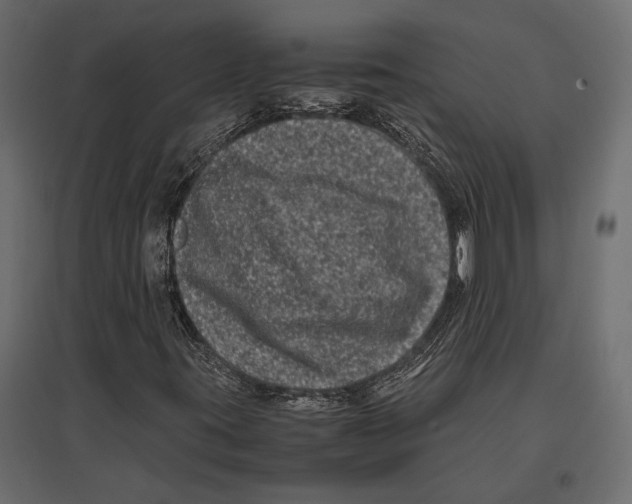 X0000096981395200803071019