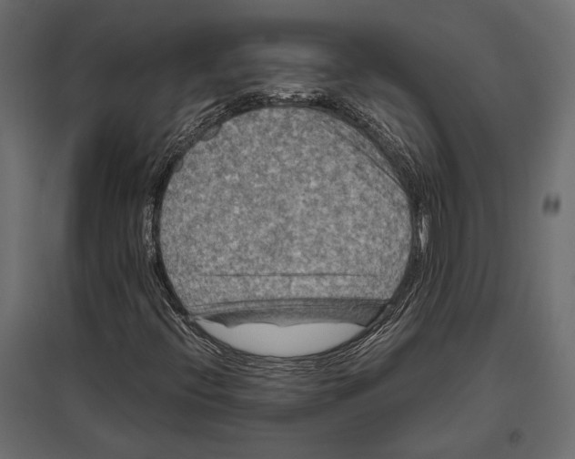 X0000096981396200803071019