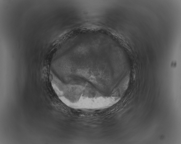 X0000096981397200803071019