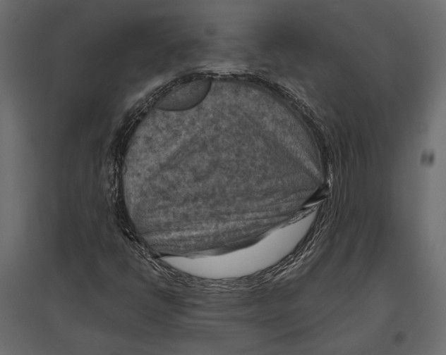 X0000096981398200803071019