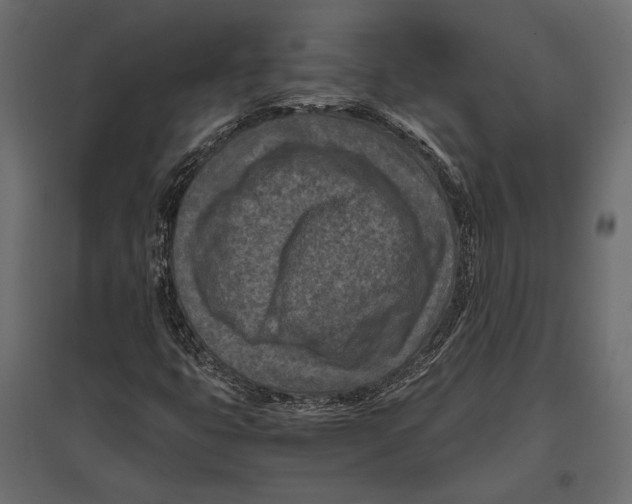 X0000096981399200803071019