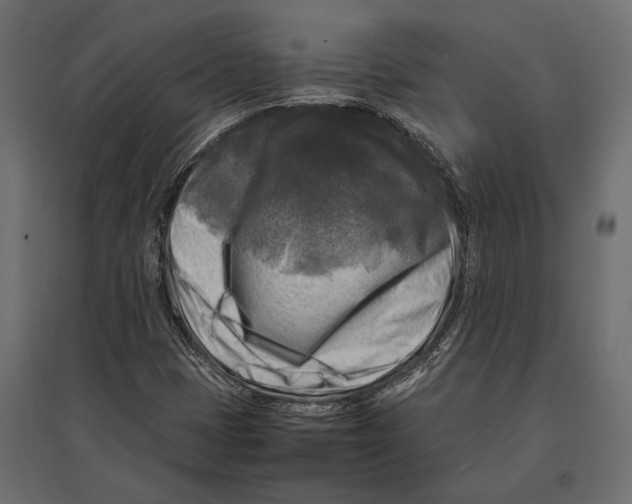 X0000096981401200803071019