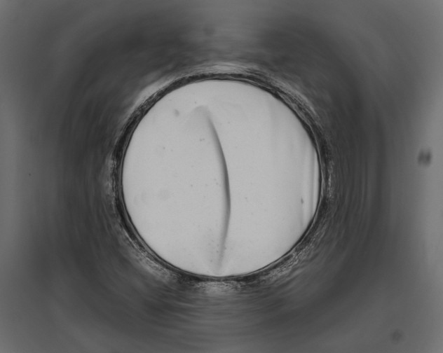 X0000096981404200803071019